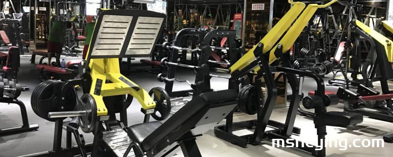 双杠臂屈伸练哪里