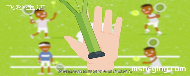 网球握拍方式