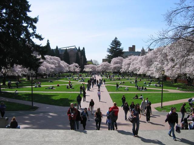 华盛顿大学简介，华盛顿大学世界排名