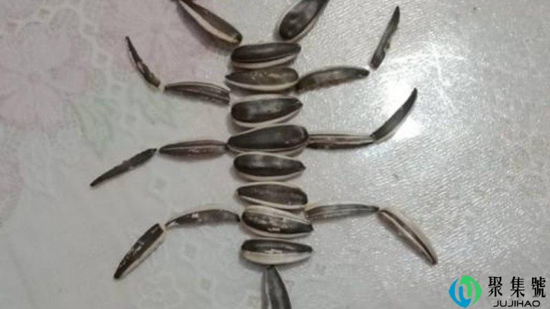 瓜子皮是干垃圾还是湿垃圾