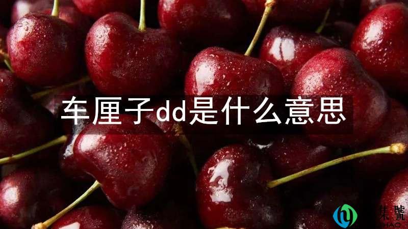 车厘子dd是什么意思