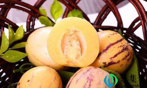 人参果云南和甘肃区别