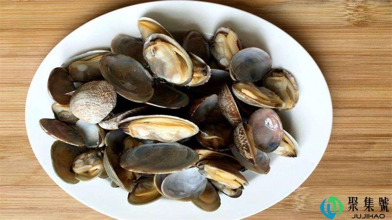 蛤蜊是什么垃圾