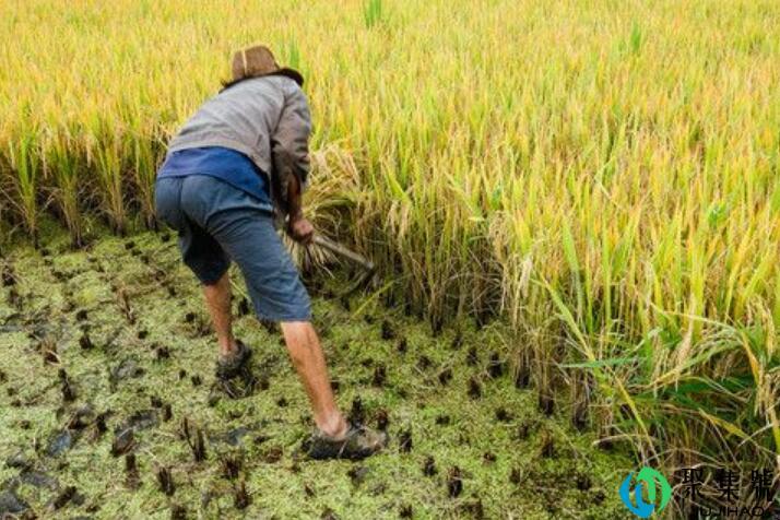 割刀的使用方法和注意事项