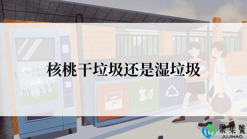 核桃干垃圾还是湿垃圾