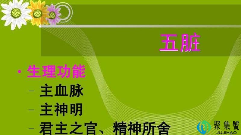 五脏属阴还是阳