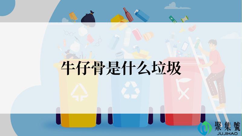 牛仔骨是什么垃圾