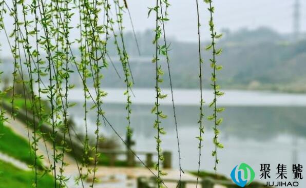 大地春来早,农家福降多意思是什么