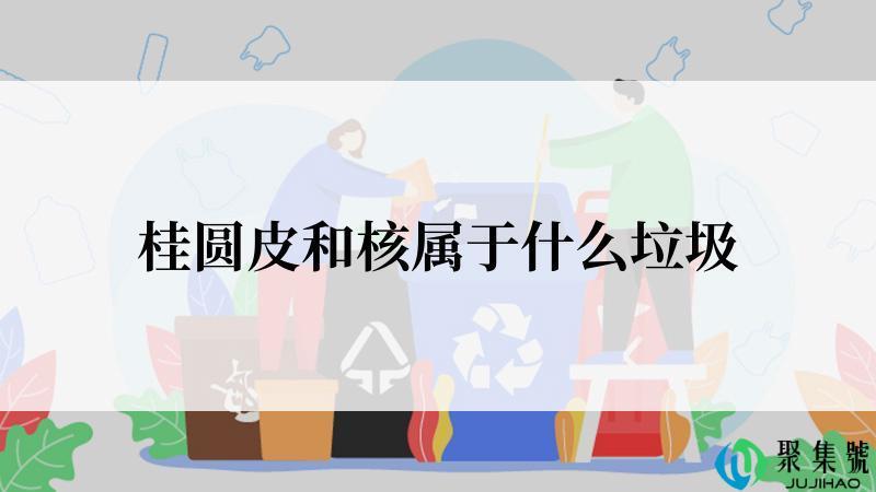 桂圆皮和核属于什么垃圾