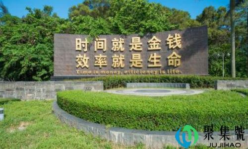 网络没茅台什么意思