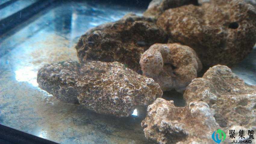 硝化细菌怎么用