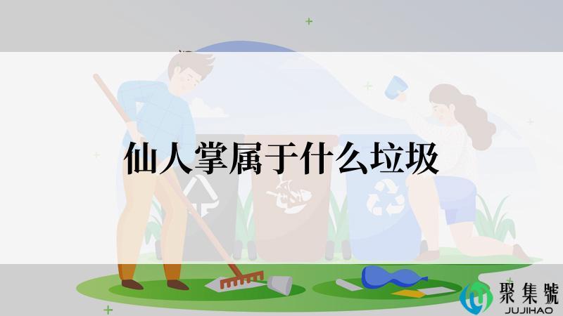 仙人掌属于什么垃圾