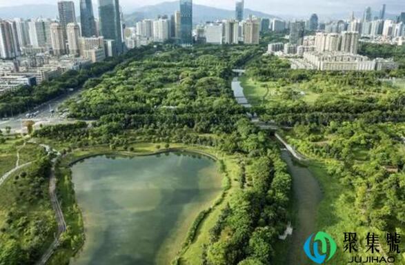 国家森林城市是什么样子