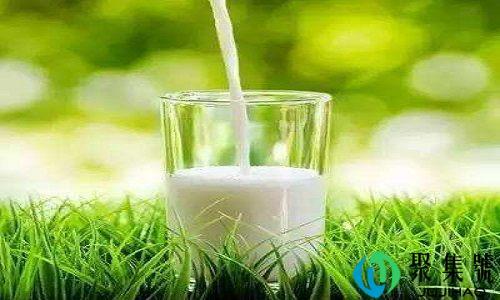 有机牛奶和非有机牛奶的区别