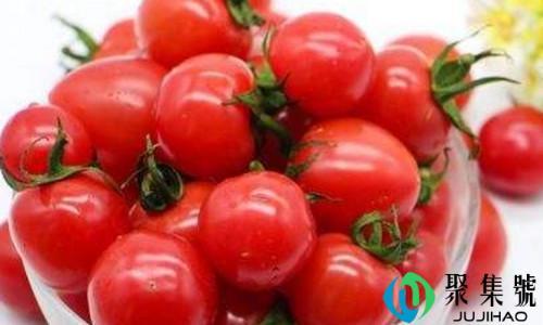 千禧果和圣女果的区别