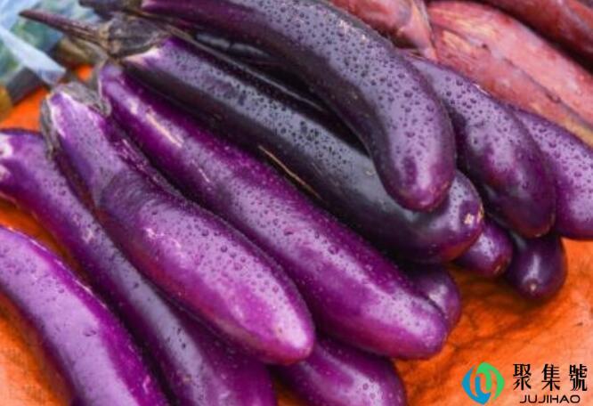 绿茄子和紫茄子的区别