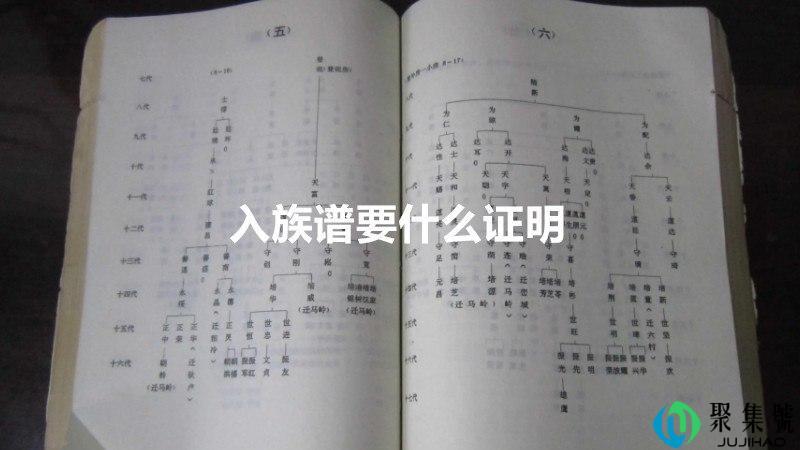 入族谱要什么证明