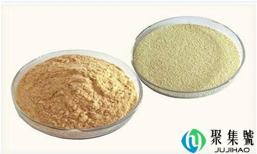 600克面粉用多少克酵母