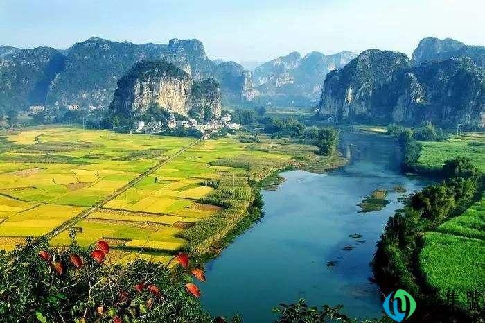 广西佛飞是什么意思