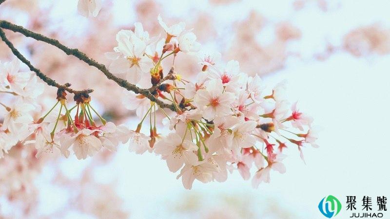 法国是君主立宪制吗