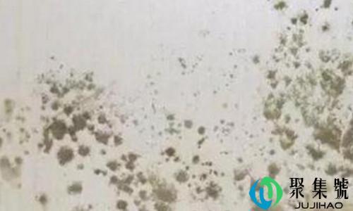 墙面除霉小窍门