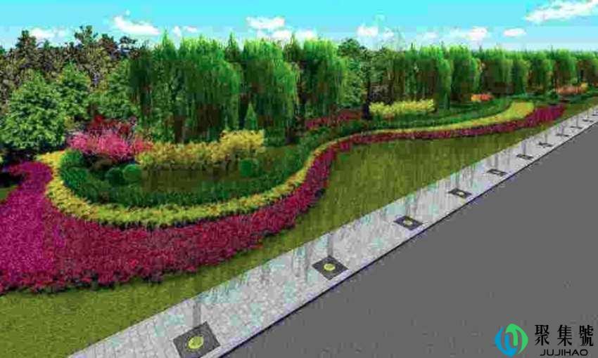 野生草头可以吃吗