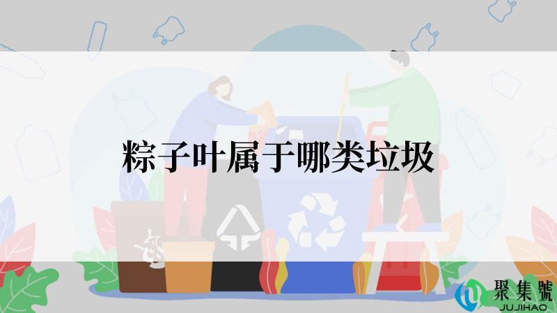 粽子叶属于哪类垃圾