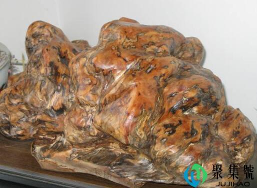 东北琥珀木的危害