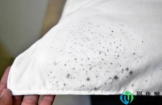 去霉斑的方法