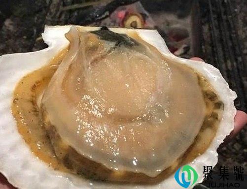 帆立贝怎么清洗