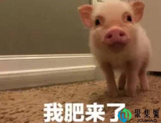 ggl什么意思网络用语