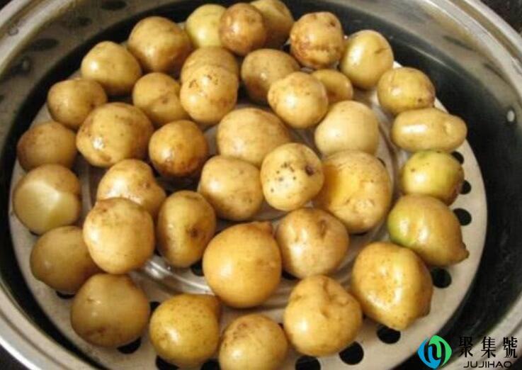 土豆是什么意思网络用语