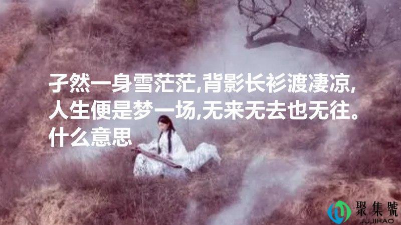 孑然一身雪茫茫,背影长衫渡凄凉,人生便是梦一场,无来无去也无往。什么意思
