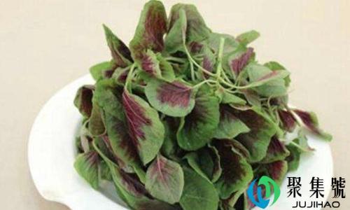 苋菜和虾可以一起吃吗