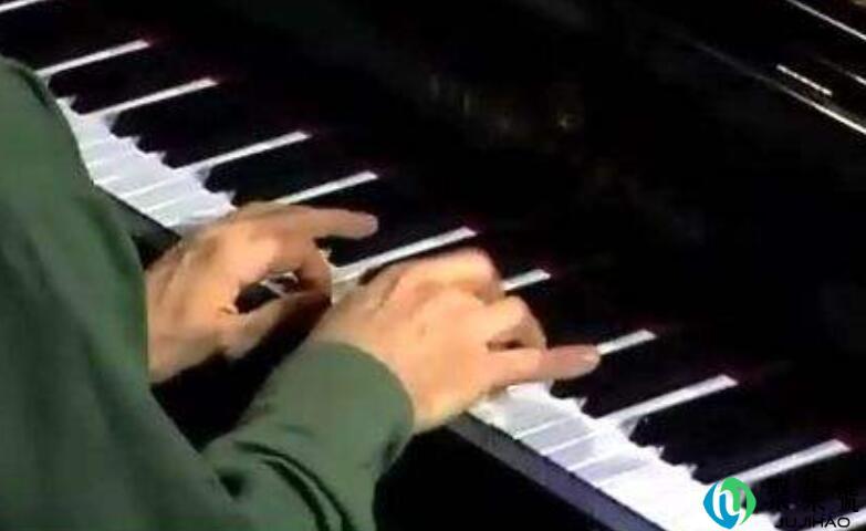 网传卡农是什么梗