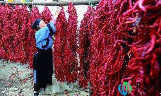 四川为什么吃辣