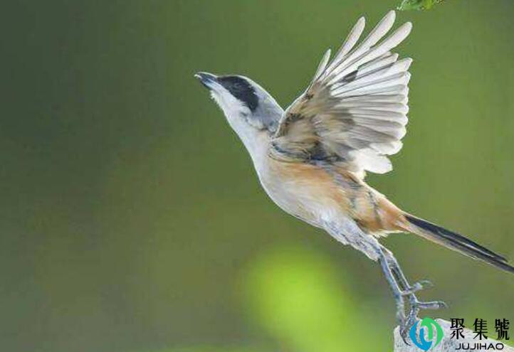 什么千篇一律,什么万里挑一