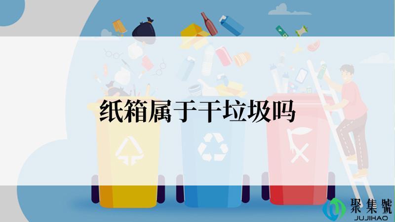 纸箱属于干垃圾吗