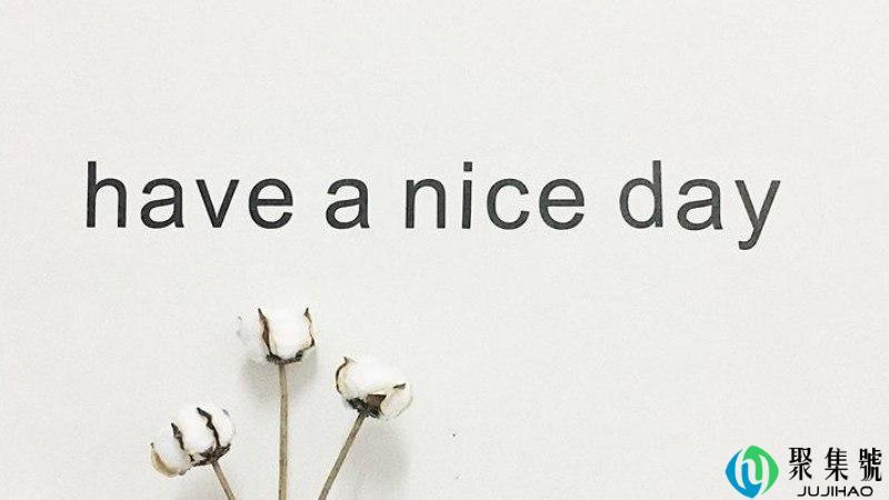 have a nice day什么梗