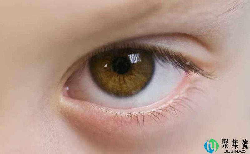 视阈与视域有什么区别