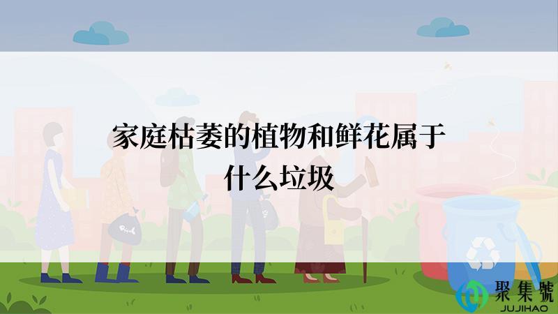 家庭枯萎的植物和鲜花属于什么垃圾