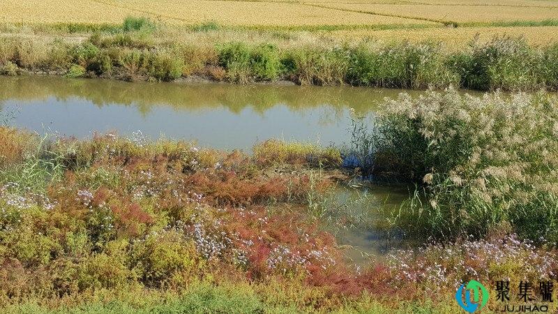 黄鳝洞怎么找又快准