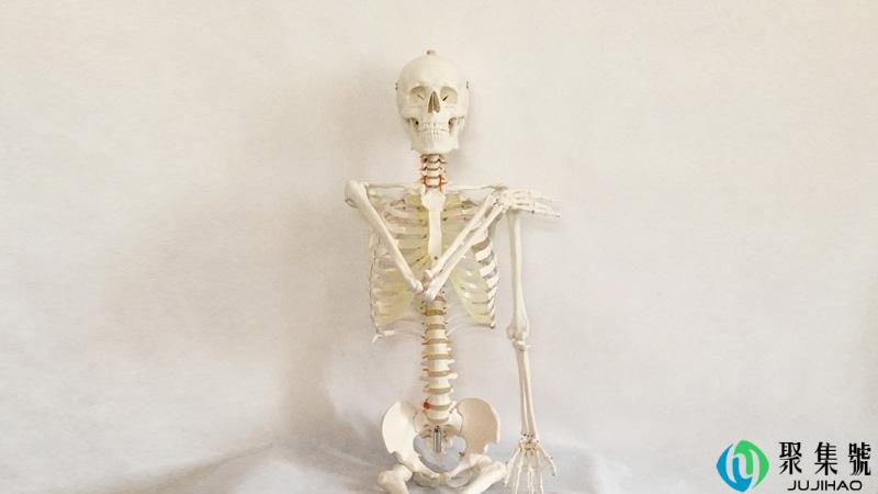 骨头代表哪3位数字