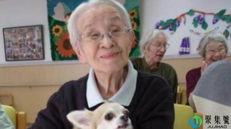 日本老人为什么还工作