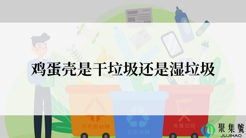 鸡蛋壳是干垃圾还是湿垃圾