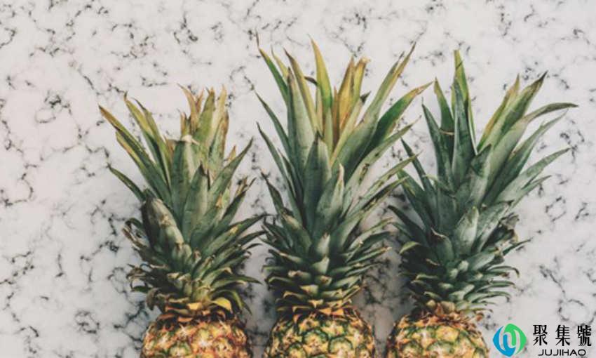 凤梨和菠萝的区别