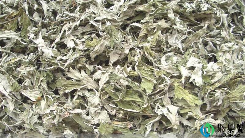 艾叶如何保存变成陈艾