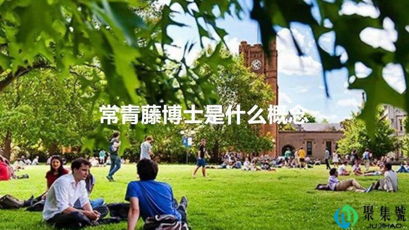 常青藤博士是什么概念