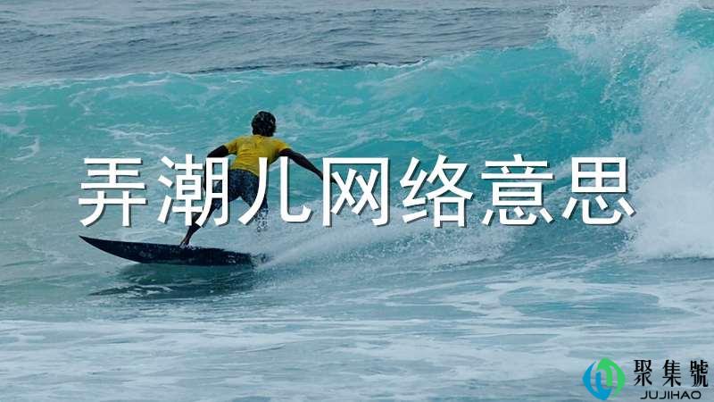 弄潮儿网络意思