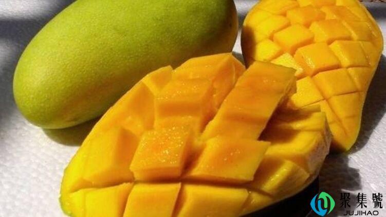 金煌芒和凯特芒的区别